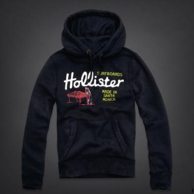 Hollister Men Hoodies-67